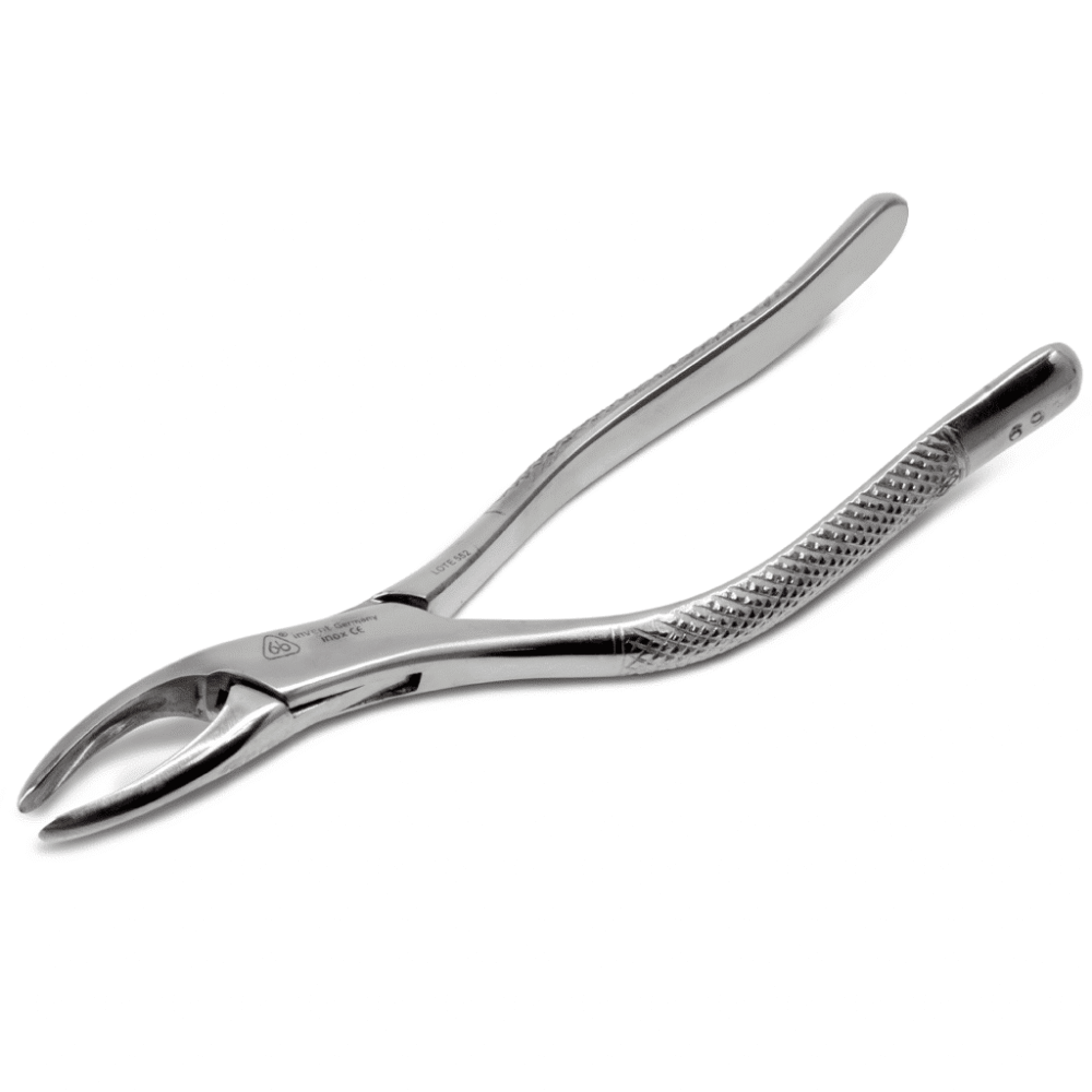 Forcep 69 Panorama