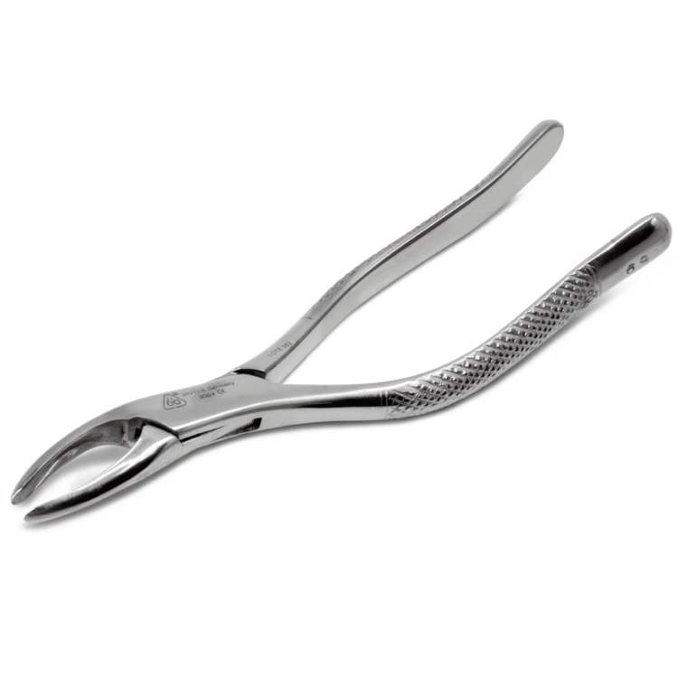 Forcep 69 Panorama