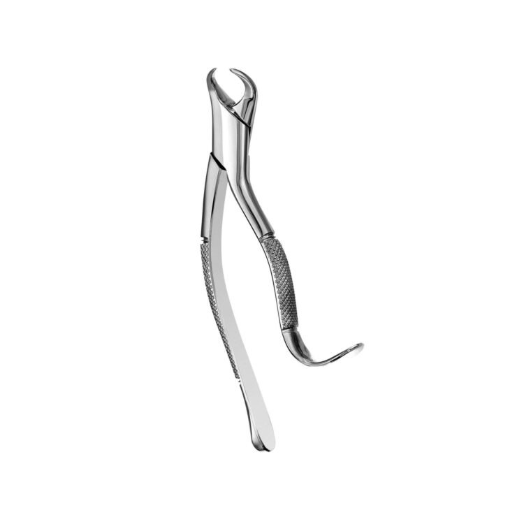 Forcep 16 Panorama
