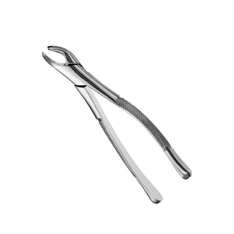 Forcep 151 Panorama